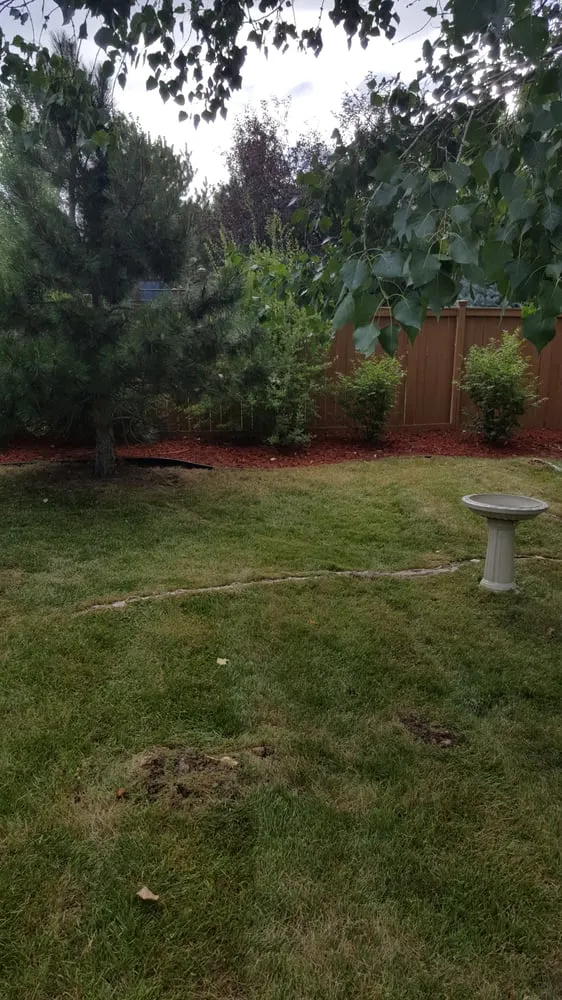 Custom garden landscaping in Aurora, CO by Yawdfusion Grounds and Housekeeping services