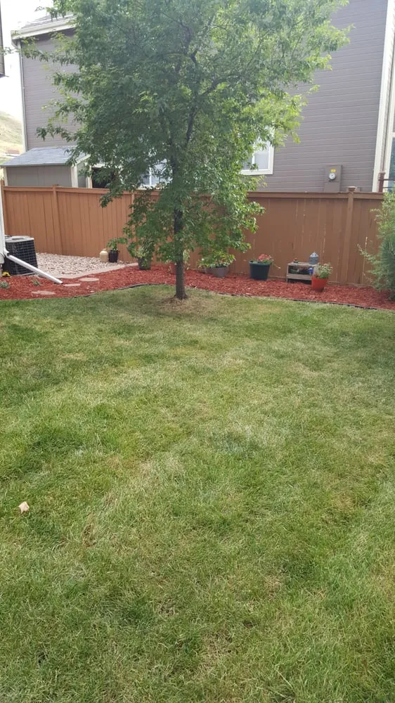 Local residential landscaping in Aurora, CO - Yawdfusion Grounds and Housekeeping services