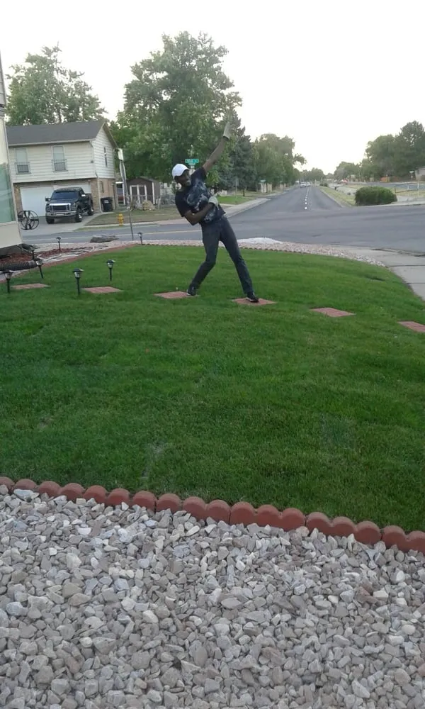 Custom yard cleanup service in Aurora, CO by Yawdfusion Grounds and Housekeeping services