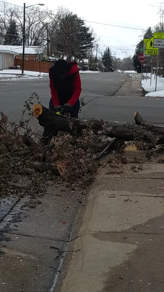 Trusted lawn care service in Aurora, CO by Yawdfusion Grounds and Housekeeping services