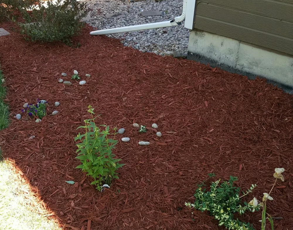 Top-rated garden landscaping in Aurora, CO by Yawdfusion Grounds and Housekeeping services