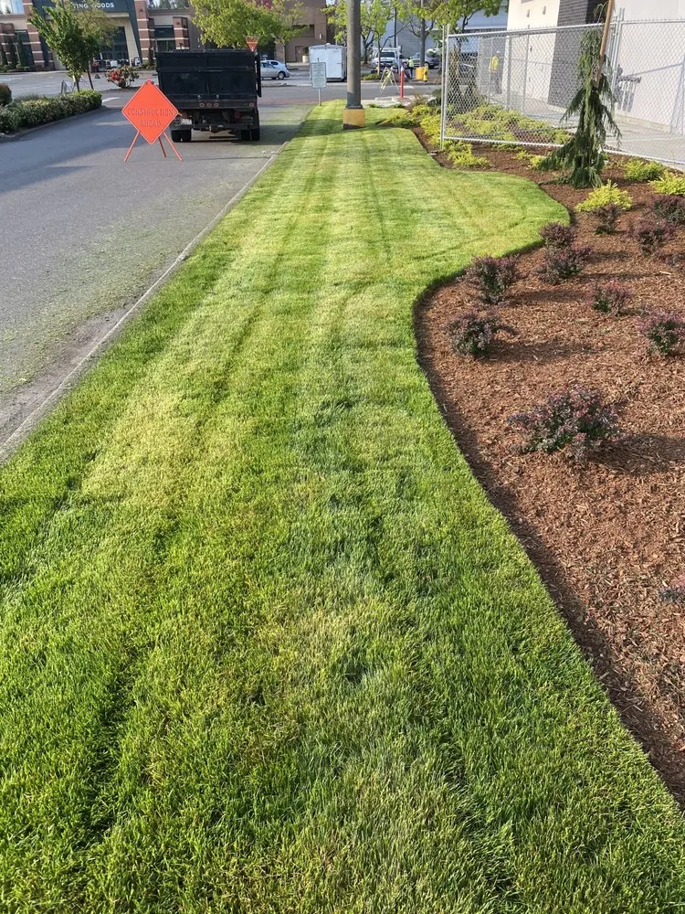 Expert lawn mowing service with custom design in Kent, WA by Yaya Lawn Care Services