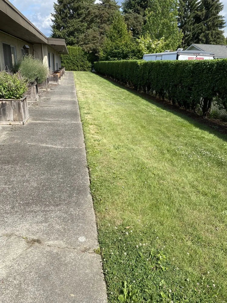 Affordable landscape installation for residential properties across Kent, WA - Yaya Lawn Care Services