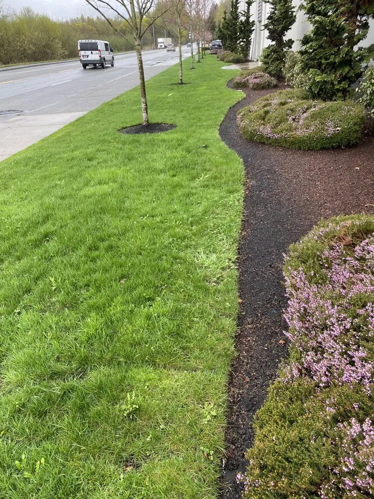 Affordable lawn mowing service experts serving Kent, WA - Yaya Lawn Care Services