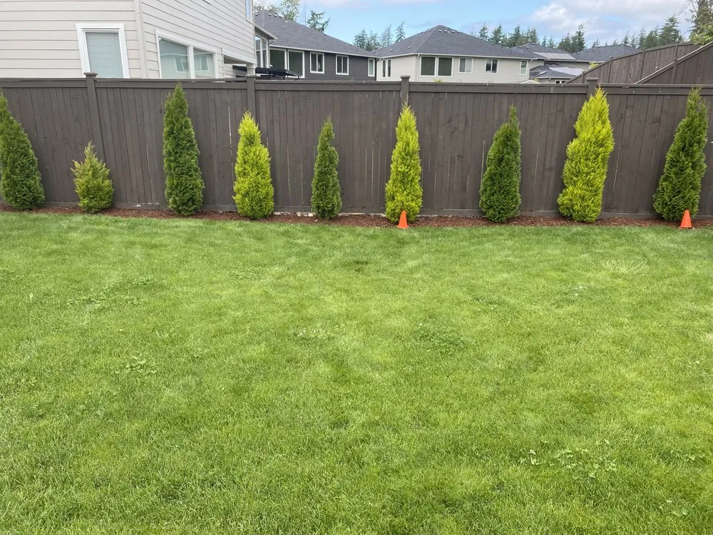 Affordable residential landscaping in Kent, WA by Yaya Lawn Care Services