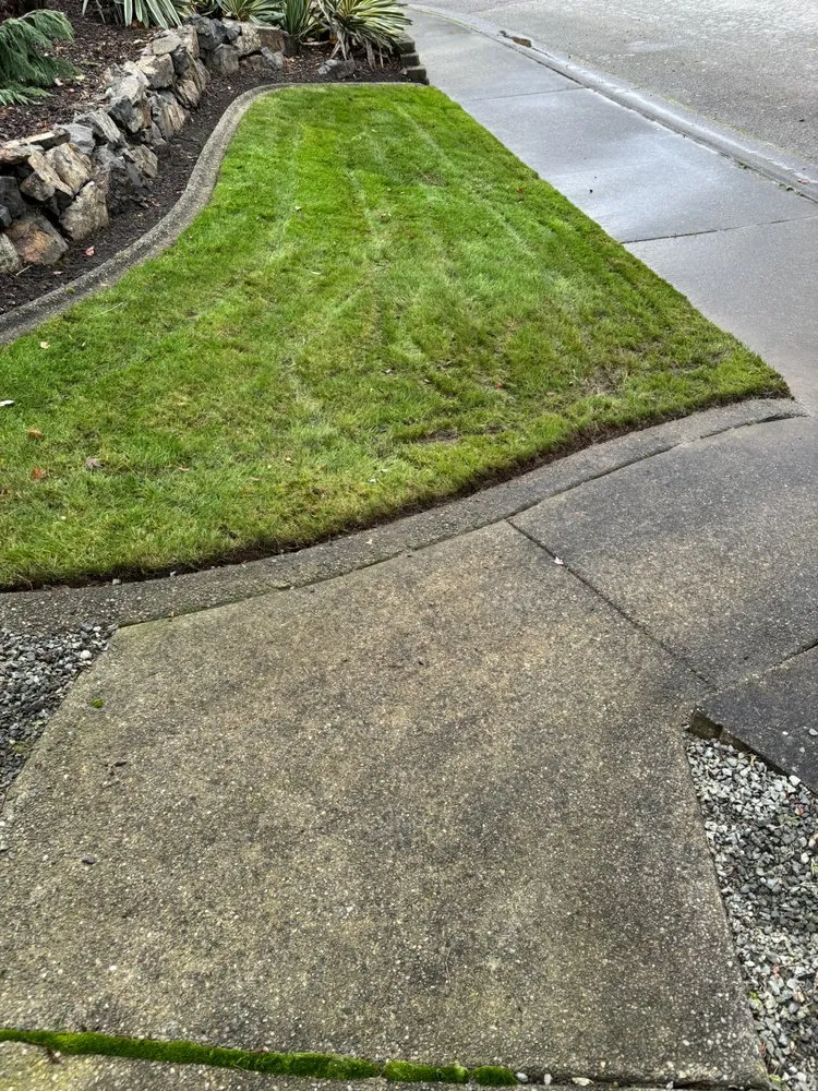 Top-rated yard cleanup service in Kent, WA - Yaya Lawn Care Services