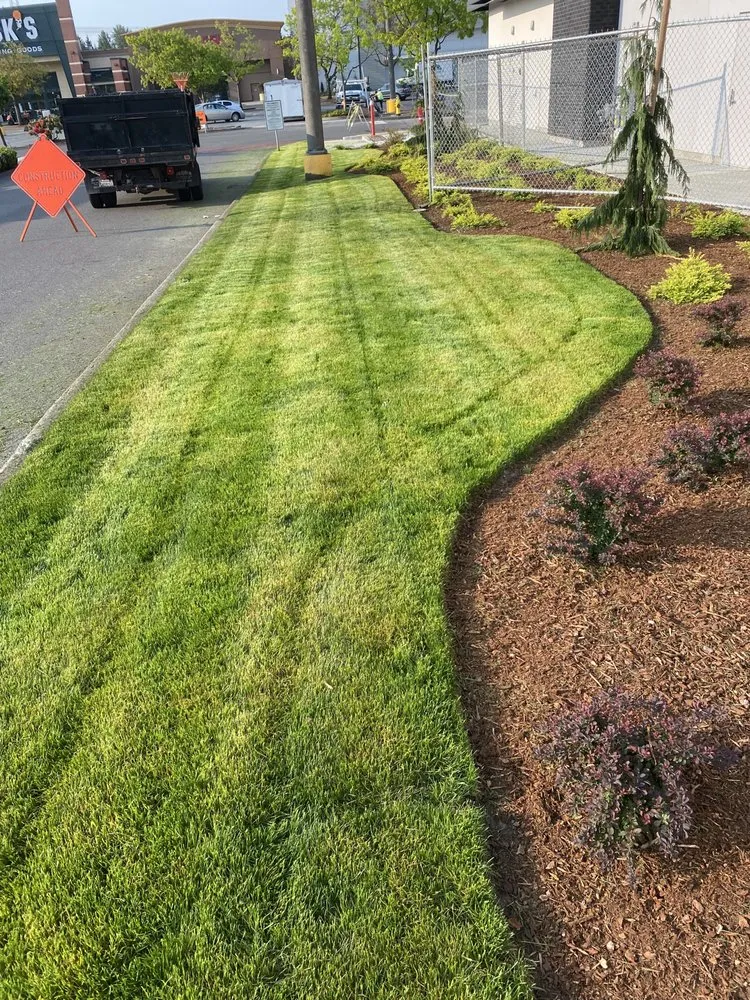 Reliable landscape installation for beautiful yards across Kent, WA - Yaya Lawn Care Services