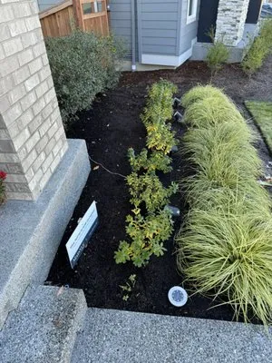 Yaya Lawn Care Services Logo