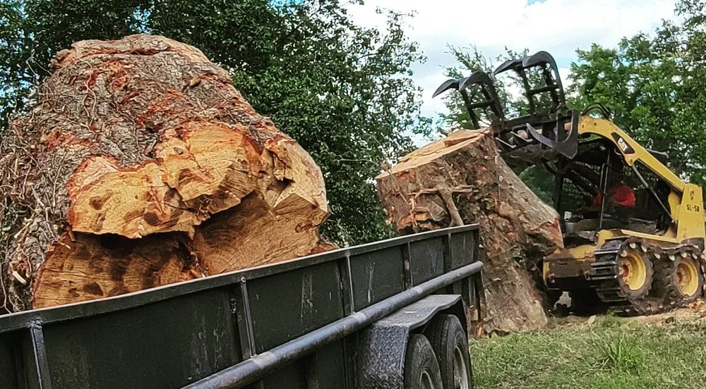 Professional yard cleanup service for residential properties across Marshall, TX - Yayo's Tree & Forestry Services