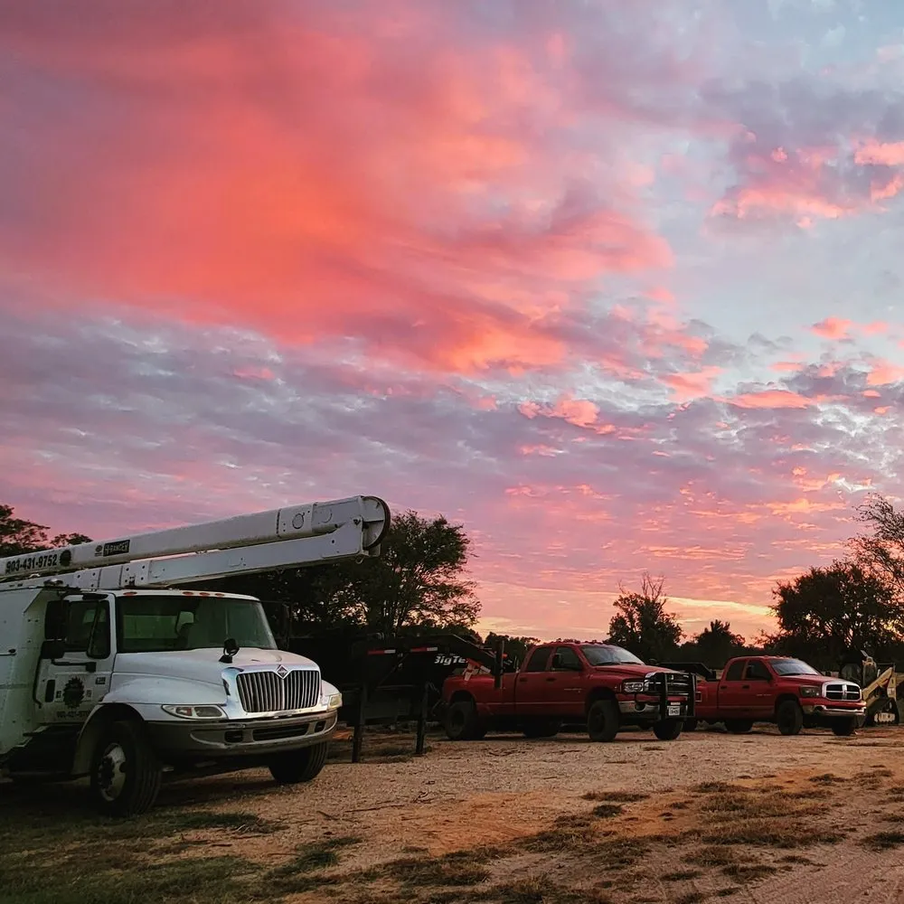 Reliable landscape design in Marshall, TX - Yayo's Tree & Forestry Services