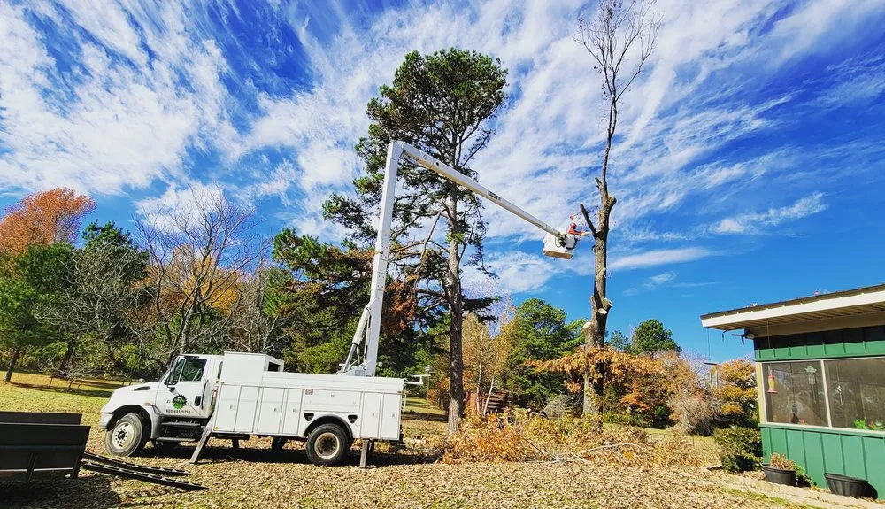 Expert lawn care service for outdoor upgrades across Marshall, TX - Yayo's Tree & Forestry Services