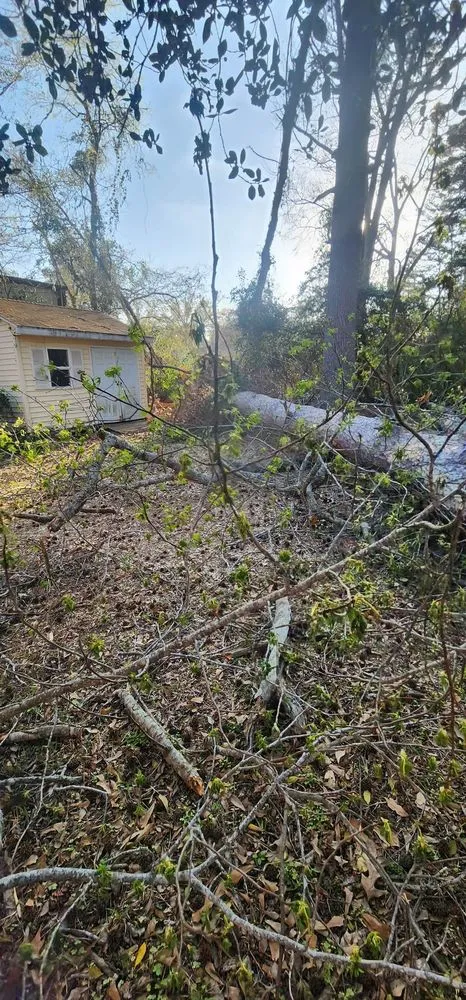 Trusted garden landscaping experts serving Marshall, TX - Yayo's Tree & Forestry Services