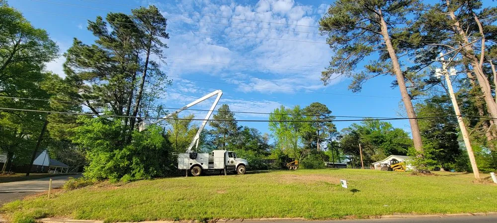 Custom lawn care service near you across Marshall, TX - Yayo's Tree & Forestry Services