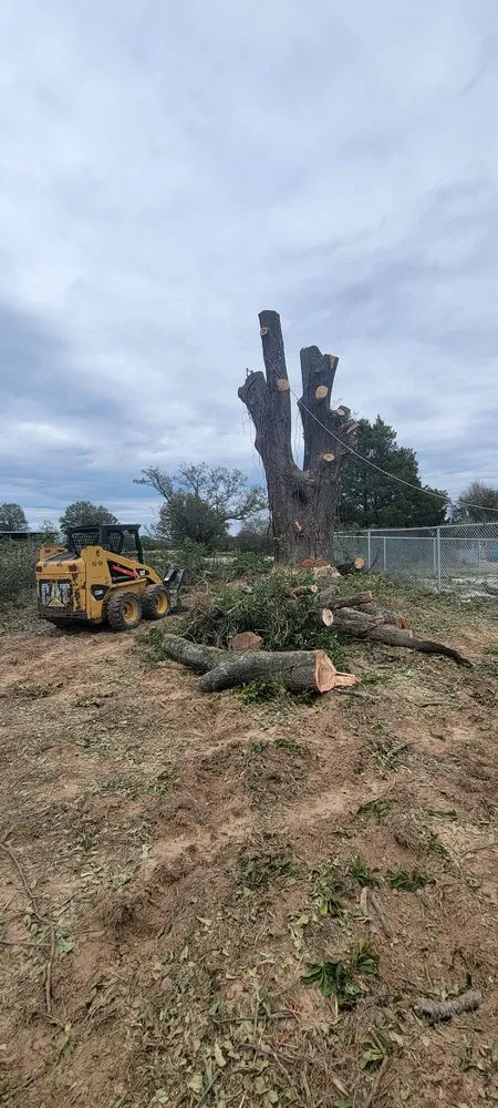 Top-rated residential landscaping experts serving Marshall, TX - Yayo's Tree & Forestry Services