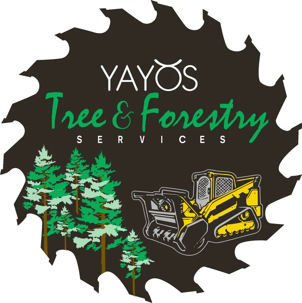 Expert outdoor landscaping experts serving Marshall, TX - Yayo's Tree & Forestry Services