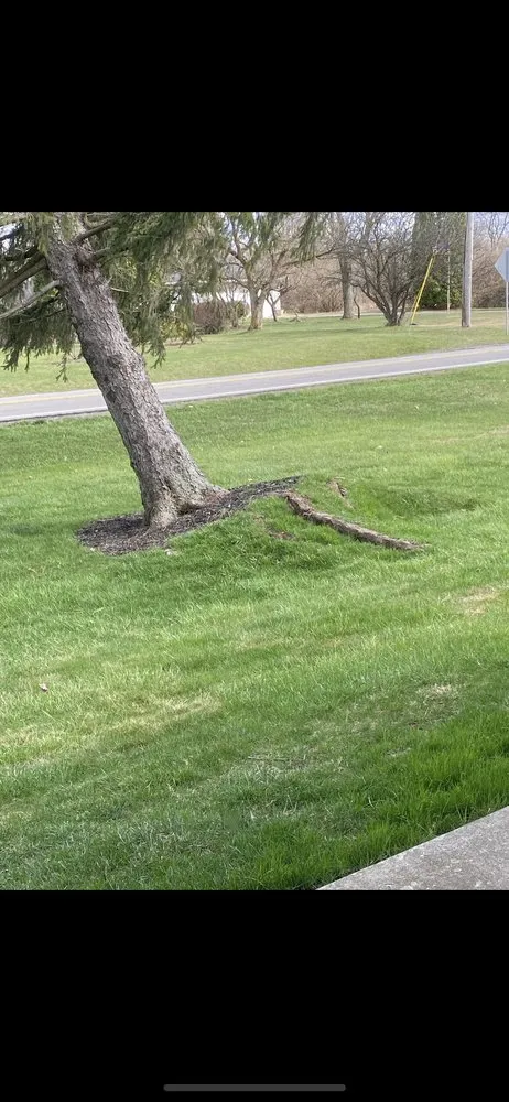 Reliable residential landscaping for homes across Grove City, OH - Yaz Landscaping