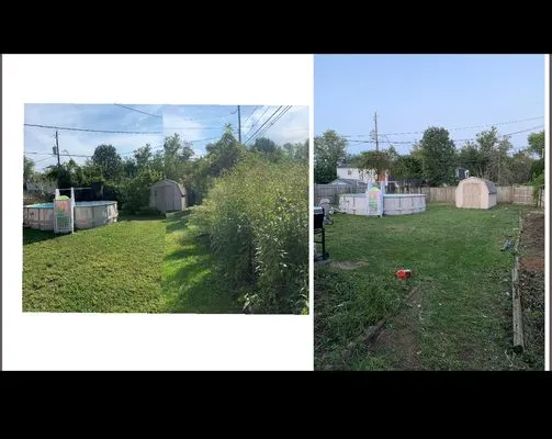 Yaz Landscaping Logo