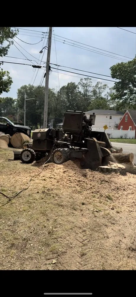 Custom yard maintenance experts serving Ansonia, CT - Y&B Landscaping & Tree Service