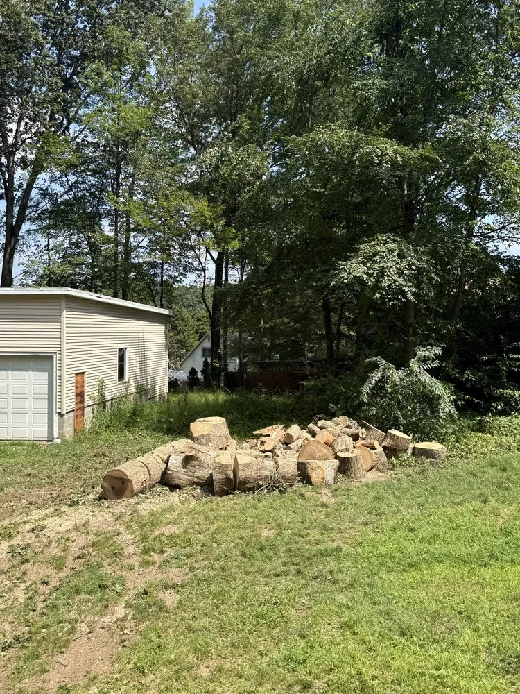 Expert outdoor landscaping in Ansonia, CT - Y&B Landscaping & Tree Service