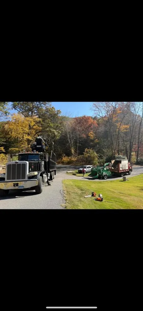 Professional garden landscaping experts serving Ansonia, CT - Y&B Landscaping & Tree Service
