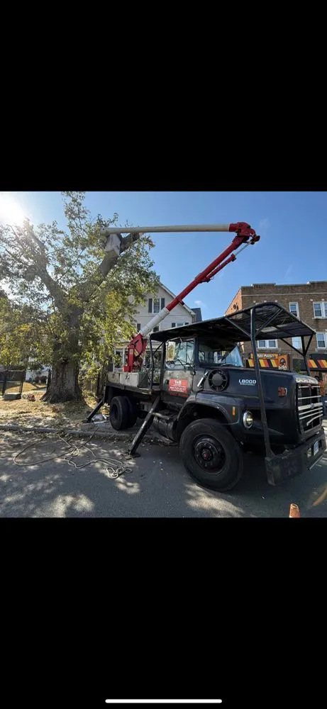 Expert residential landscaping in Ansonia, CT by Y&B Landscaping & Tree Service