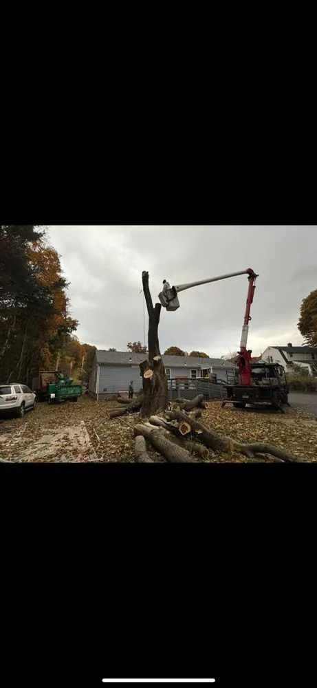 Top-rated outdoor landscaping for outdoor upgrades across Ansonia, CT - Y&B Landscaping & Tree Service