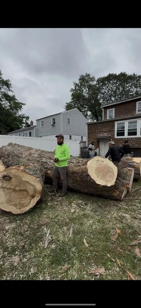 Affordable lawn care service experts serving Ansonia, CT - Y&B Landscaping & Tree Service