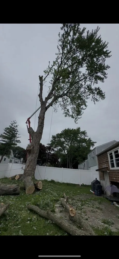 Custom residential landscaping in Ansonia, CT - Y&B Landscaping & Tree Service