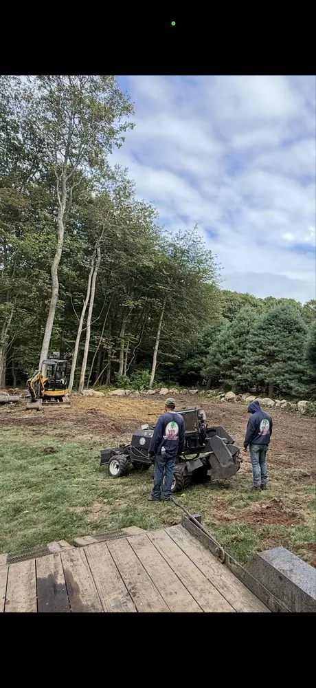 Professional landscaping services in Ansonia, CT - Y&B Landscaping & Tree Service