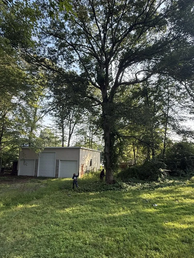 Trusted garden landscaping for homes across Ansonia, CT - Y&B Landscaping & Tree Service