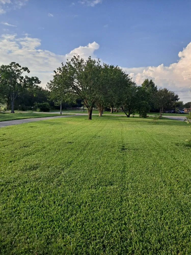 Expert lawn mowing service in Baytown, TX by Ybarra lawn services