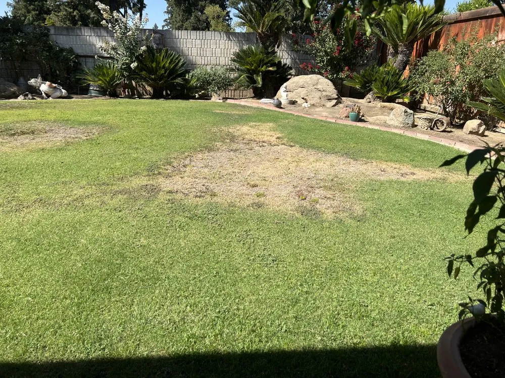 Professional lawn mowing service in Fresno, CA - Ybarras Landscaping and Yard Maintenance