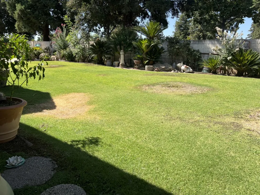 Top-rated landscape design in Fresno, CA - Ybarras Landscaping and Yard Maintenance