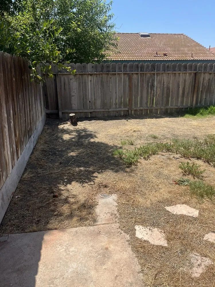 Top-rated lawn care service for beautiful yards across Fresno, CA - Ybarras Landscaping and Yard Maintenance