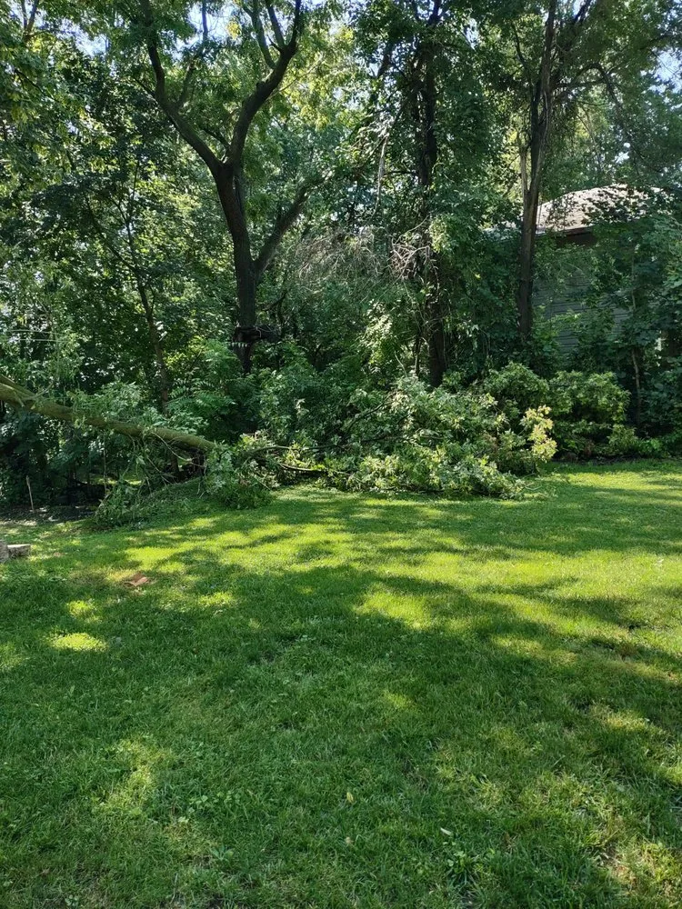 Affordable residential landscaping for beautiful yards in Rockford, IL by YBN Maintenance Unlimited