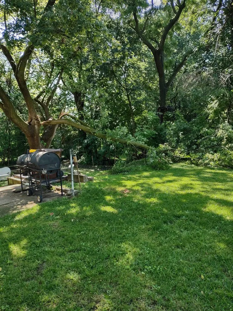 Professional landscape installation for year-round maintenance in Rockford, IL by YBN Maintenance Unlimited