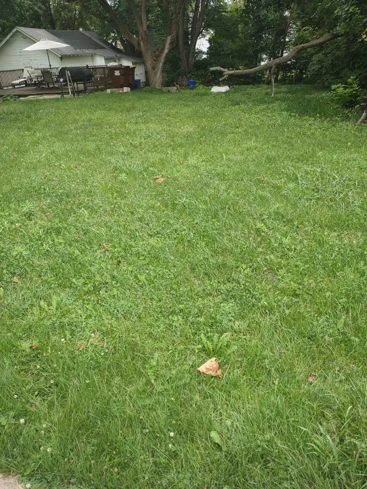 Professional garden landscaping in Rockford, IL - YBN Maintenance Unlimited