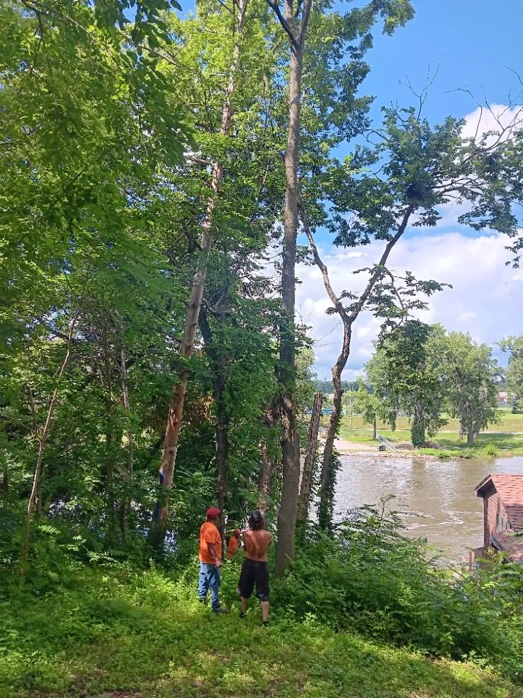 Custom yard maintenance in Des Moines, IA - YC Solutions