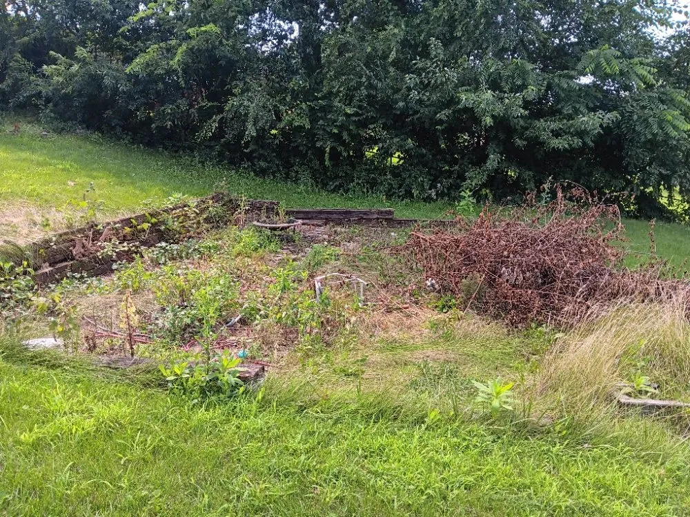 Reliable lawn care service in Des Moines, IA by YC Solutions