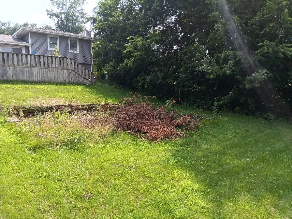 Expert lawn care service for homes in Des Moines, IA by YC Solutions