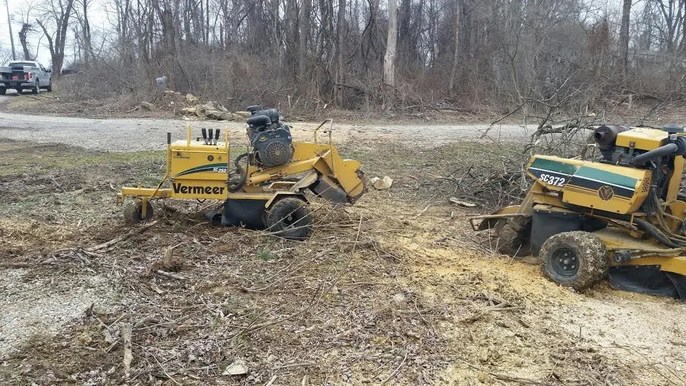 Custom yard maintenance in Zanesville, OH - Ycity Tree Care