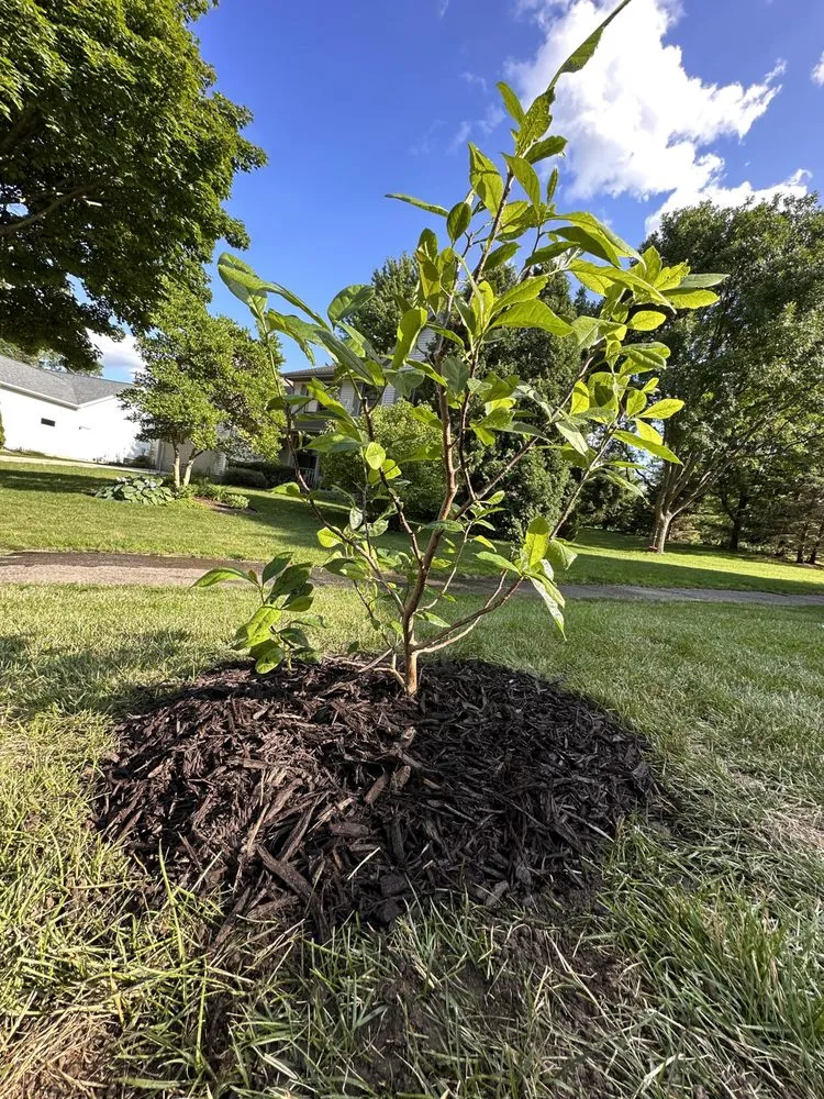 Affordable landscaping services for beautiful yards in Monticello, WI by YD Exterior Visions