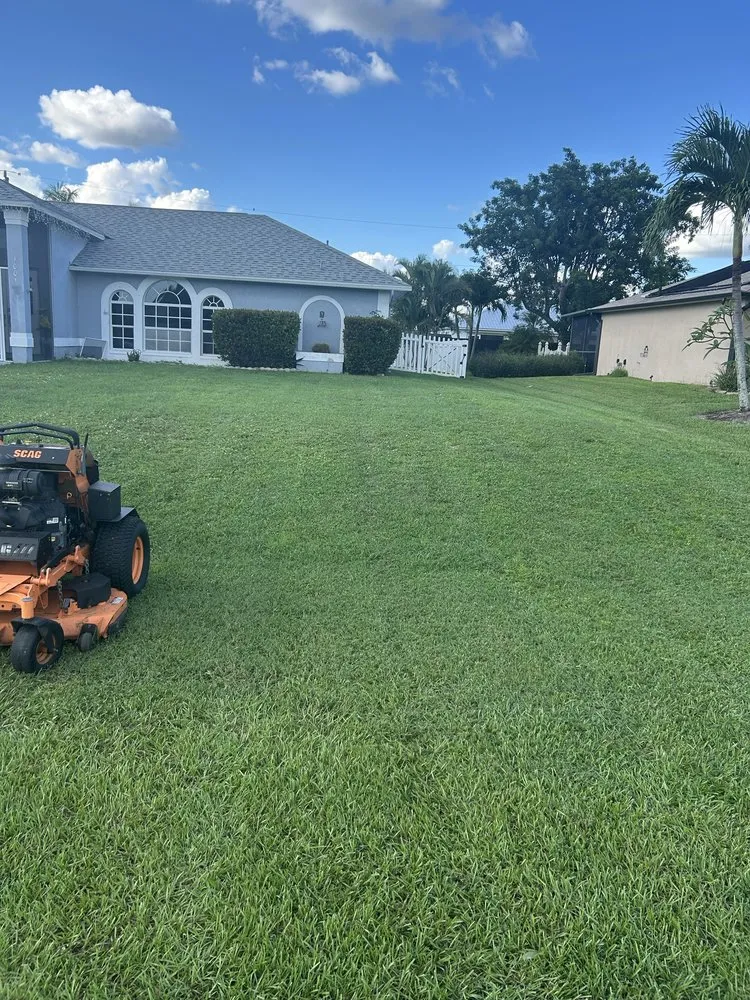 Professional yard cleanup service experts serving Cape Coral, FL - Y&D Lawn Care Solution