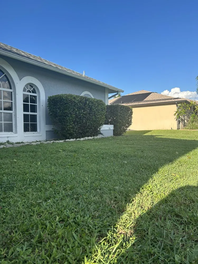 Custom yard cleanup service for outdoor upgrades across Cape Coral, FL - Y&D Lawn Care Solution