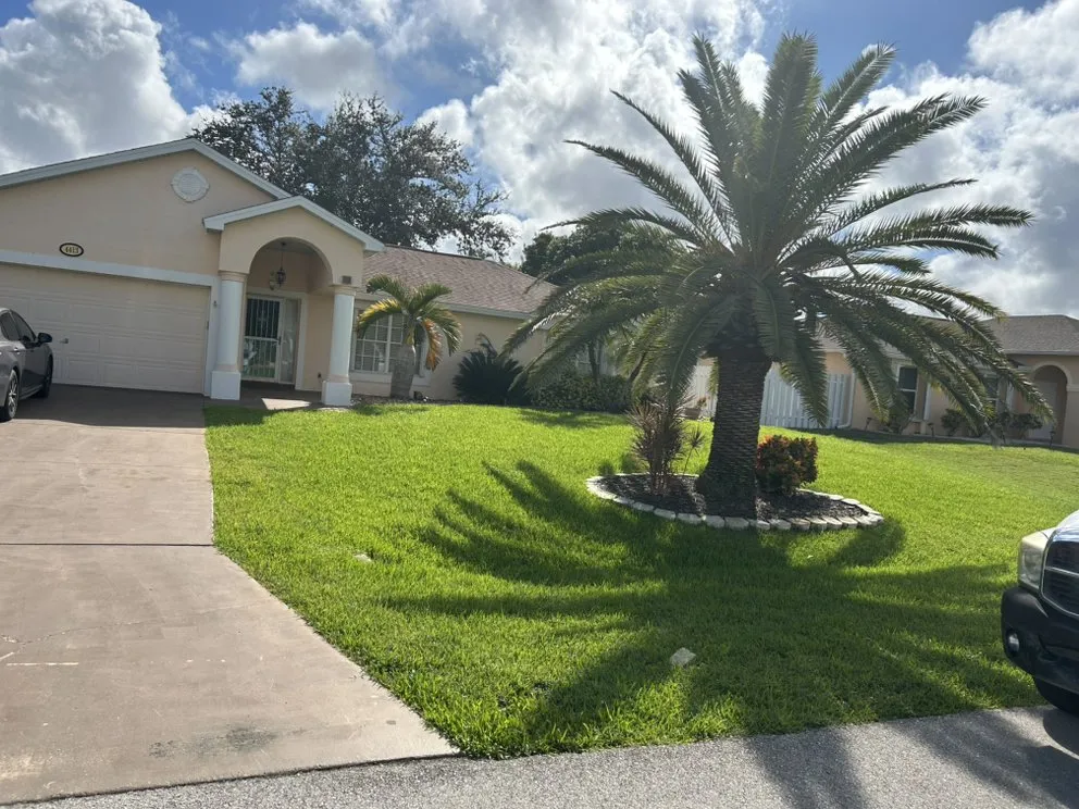 Professional lawn care service in Cape Coral, FL - Y&D Lawn Care Solution