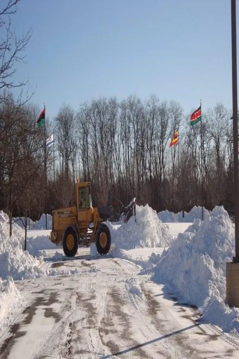 Expert outdoor landscaping experts serving Frankfort, IL - Y&D Maintenance