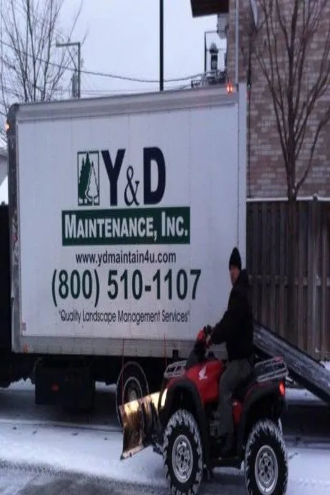 Trusted yard cleanup service for year-round maintenance across Frankfort, IL - Y&D Maintenance