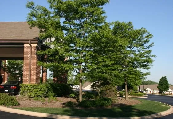 Top-rated lawn care service for homes in Tinley Park, IL by Y&D Maintenance