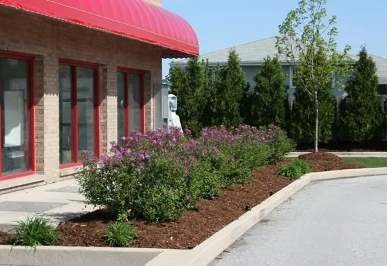 Professional lawn care service for year-round maintenance in Tinley Park, IL by Y&D Maintenance