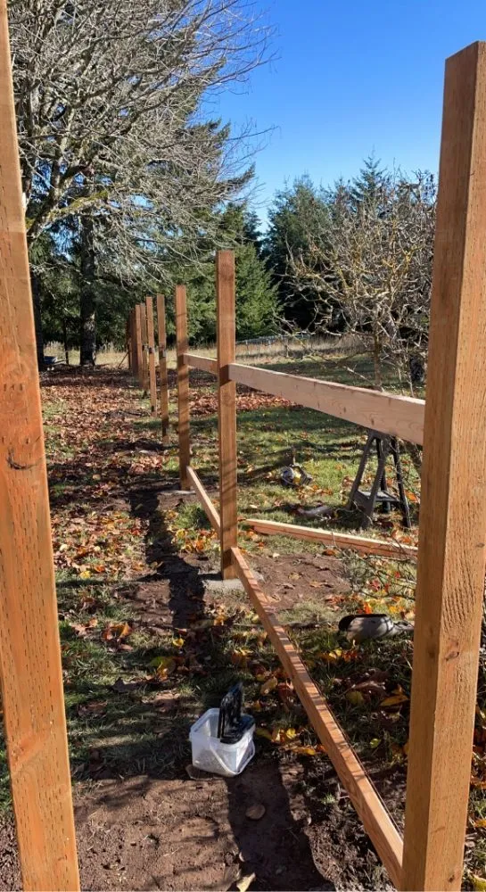 Top-rated lawn care service in Hood River, OR by Y&E